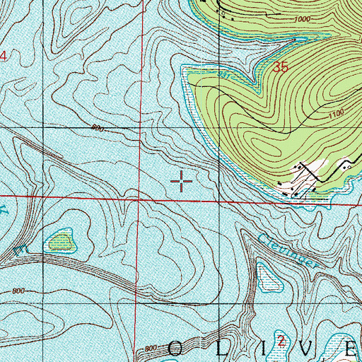 Topographic Map of Clevinger Branch, MO