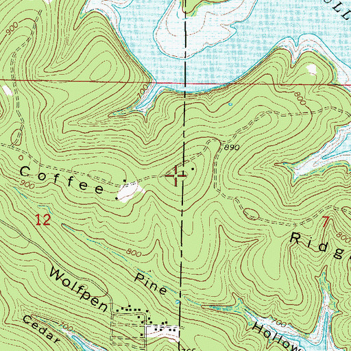 Topographic Map of Coffee Ridge, MO