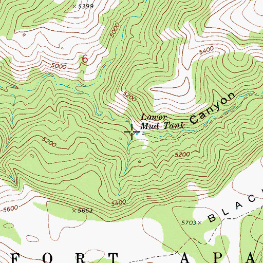 Topographic Map of Lower Mud Tank, AZ