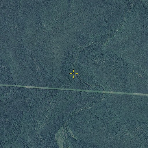 Aerial/Satellite Image of Coffey Hollow, MO