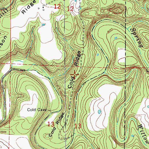 Topographic Map of Cold Ridge, MO
