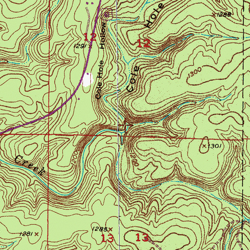 Topographic Map of Cole Hole Hollow, MO