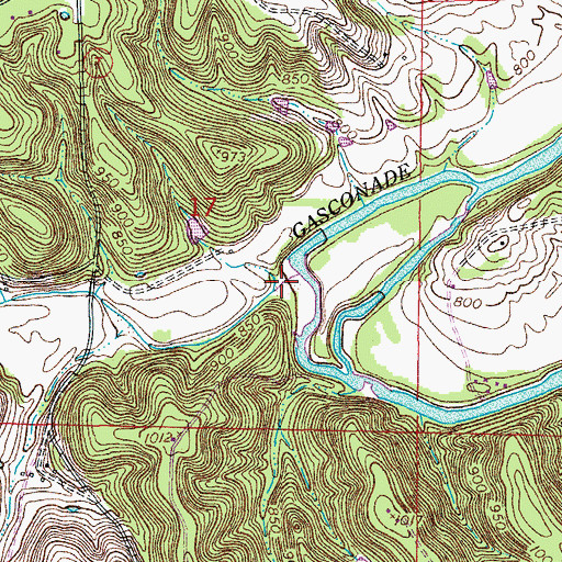 Topographic Map of Collie Hollow, MO