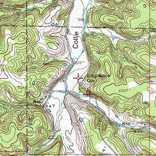 Topographic Map of Collie Hollow Cemetery, MO