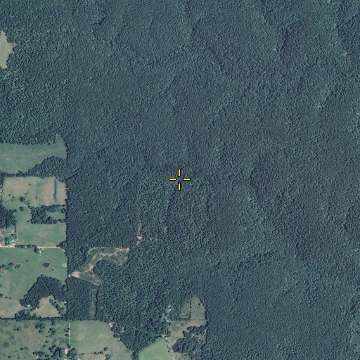 Aerial/Satellite Image of Collins Spring, MO