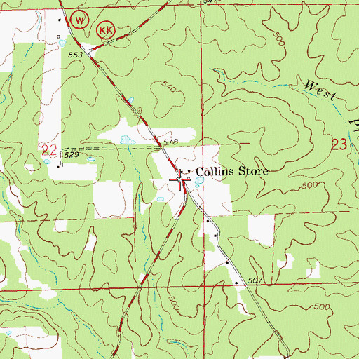 Topographic Map of Collins Store, MO