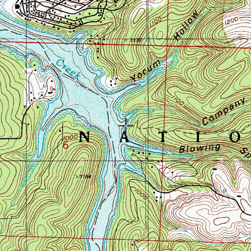 Topographic Map of Company Hollow, MO