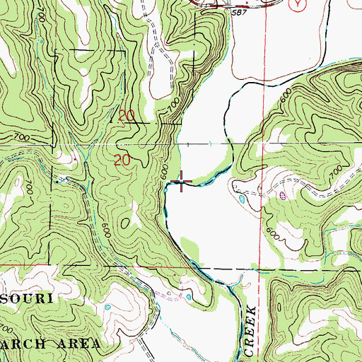Topographic Map of Conner Creek, MO