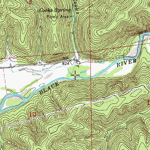 Topographic Map of Cooks Creek, MO