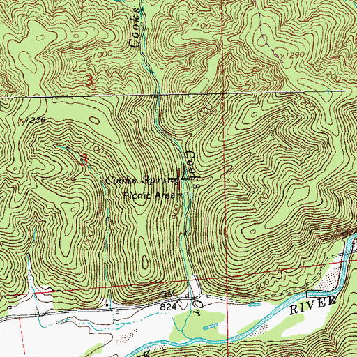 Topographic Map of Cooks Spring, MO