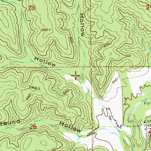 Topographic Map of Coon Hollow, MO