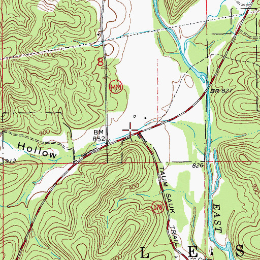 Topographic Map of Cope Hollow, MO