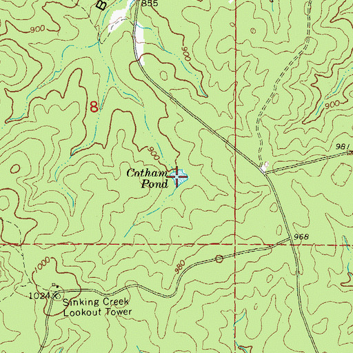 Topographic Map of Cotham Pond, MO