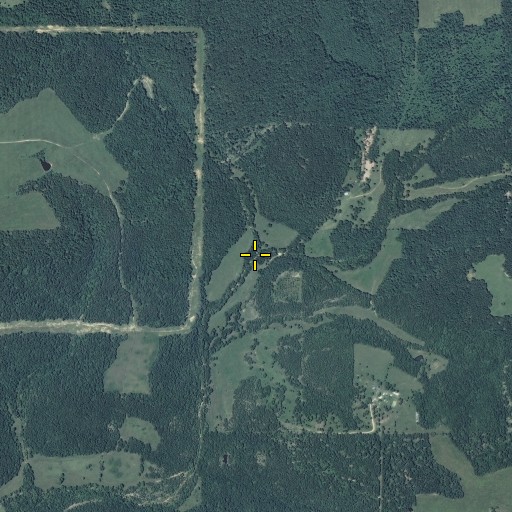 Aerial/Satellite Image of Cov Branch, MO