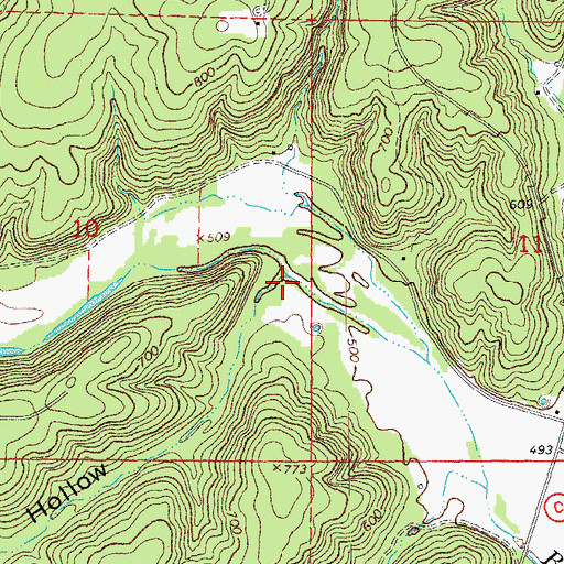 Topographic Map of Cowards Hollow, MO