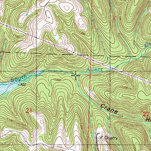 Topographic Map of Crane Hollow, MO