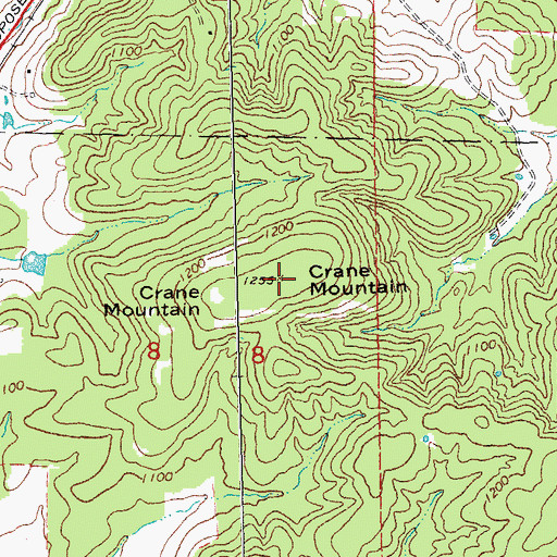 Topographic Map of Crane Mountain, MO