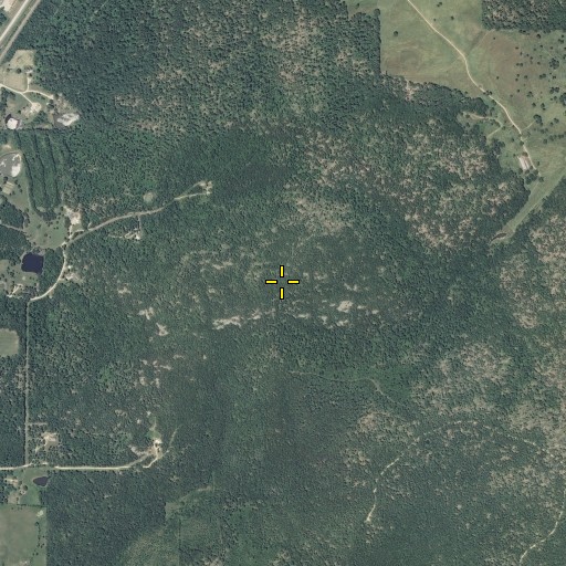 Aerial/Satellite Image of Crane Mountain, MO