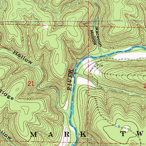 Topographic Map of Crooked Branch, MO