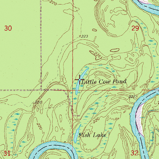Topographic Map of Little Cow Pond, AR