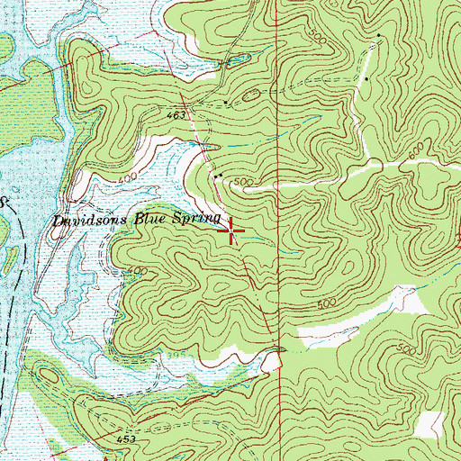 Topographic Map of Davidsons Blue Spring, MO