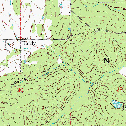Topographic Map of Davis Hollow, MO