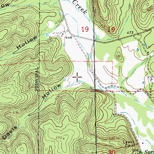 Topographic Map of Davis Hollow, MO