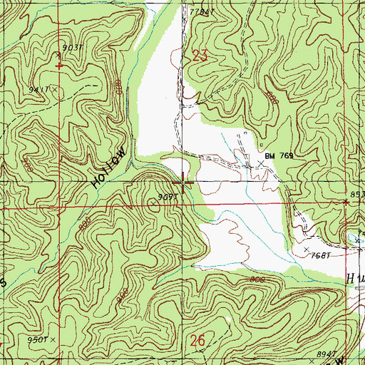 Topographic Map of Davis Hollow, MO