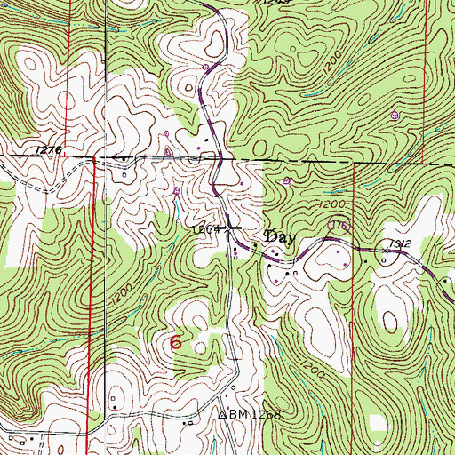 Topographic Map of Day, MO