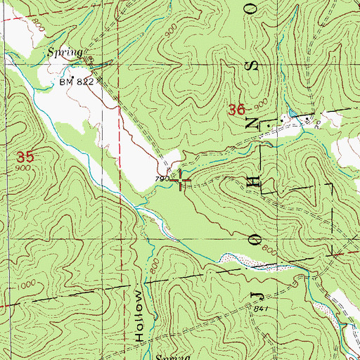 Topographic Map of Day Hollow, MO