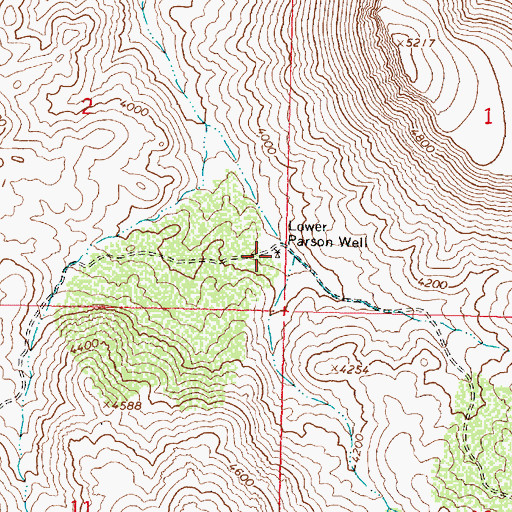 Topographic Map of Lower Parson Well, AZ