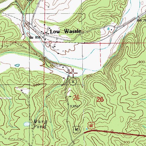 Topographic Map of Deep Pond Hollow, MO