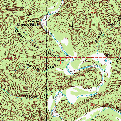 Topographic Map of Deer Lick Hollow, MO