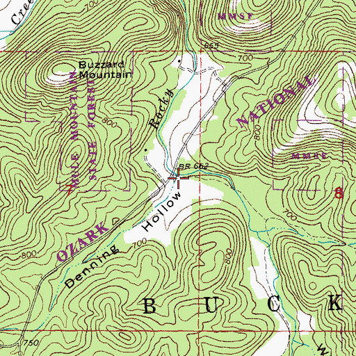 Topographic Map of Denning Hollow, MO
