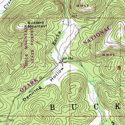 Topographic Map of Denning Hollow, MO