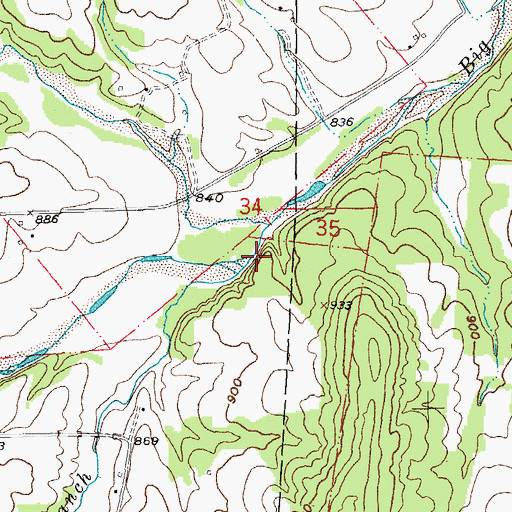 Topographic Map of Dent Branch, MO