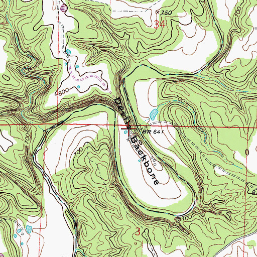 Topographic Map of Devils Backbone, MO