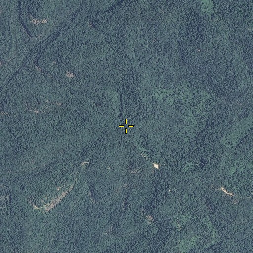 Aerial/Satellite Image of Devreaux Ridge, MO