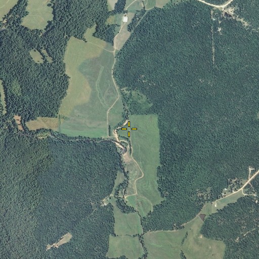 Aerial/Satellite Image of Dolly Branch, MO