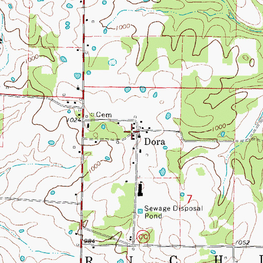 Topographic Map of Dora, MO