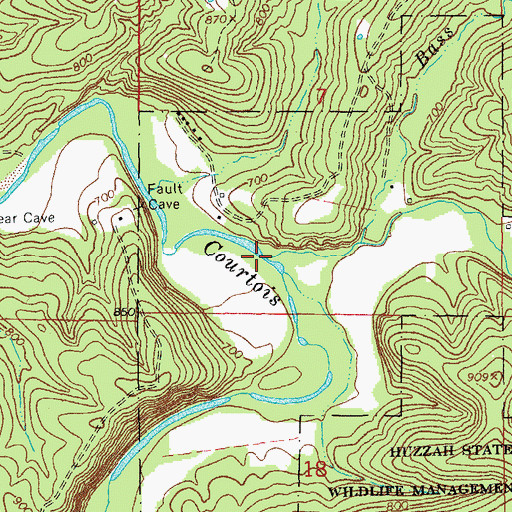 Topographic Map of Doss Branch, MO