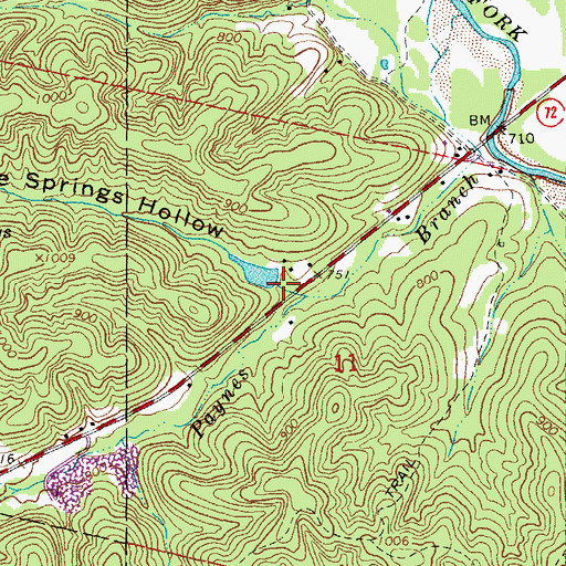 Topographic Map of Double Springs Hollow, MO
