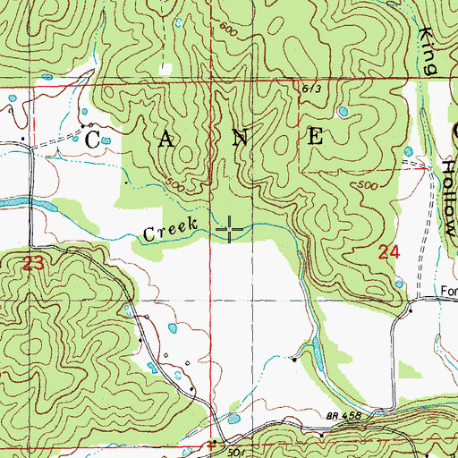Topographic Map of Dry Branch, MO