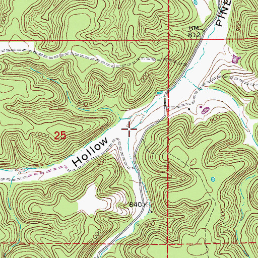 Topographic Map of Dry Camp Hollow, MO