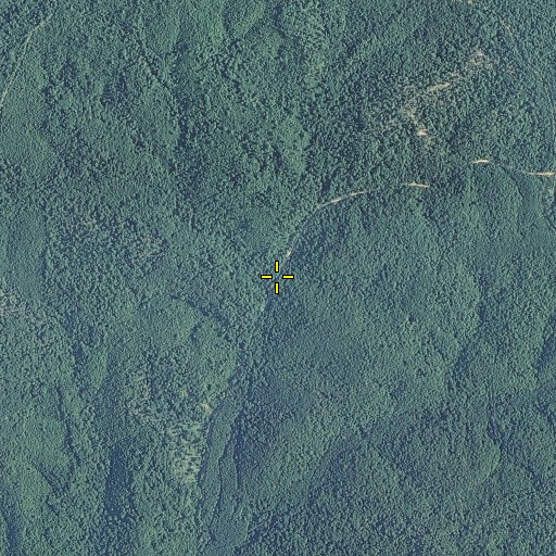 Aerial/Satellite Image of Dry Fork, MO