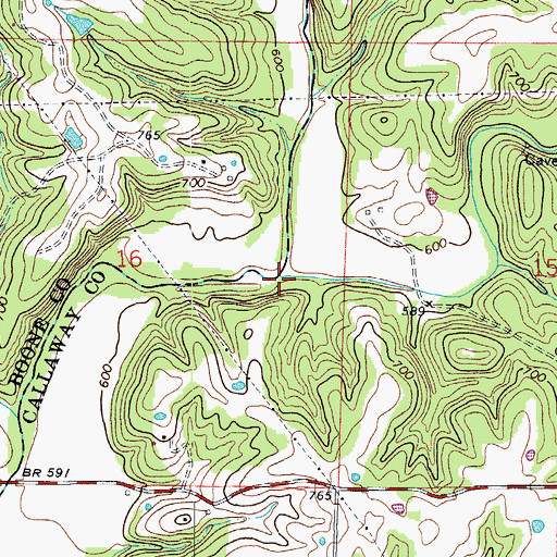 Topographic Map of Dry Fork, MO