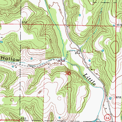 Topographic Map of Dry Hollow, MO