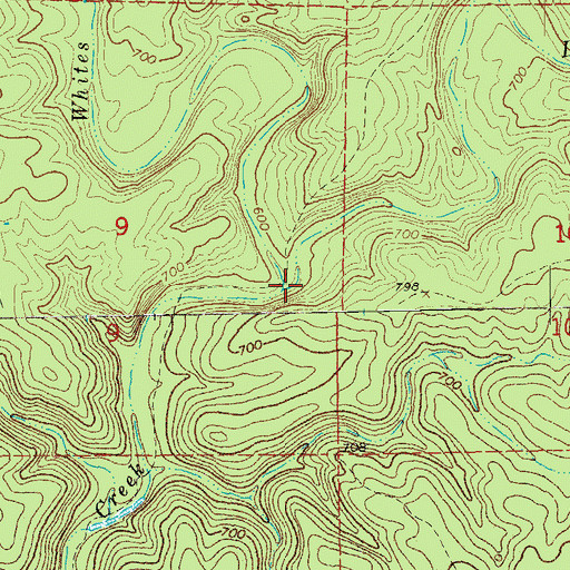 Topographic Map of Dry Prong, MO