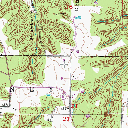 Topographic Map of Dzurk Ridge, MO