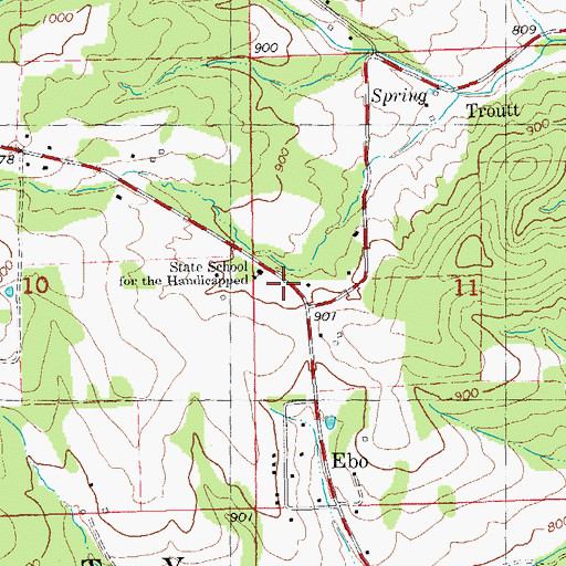 Topographic Map of State School for the Handicapped, MO